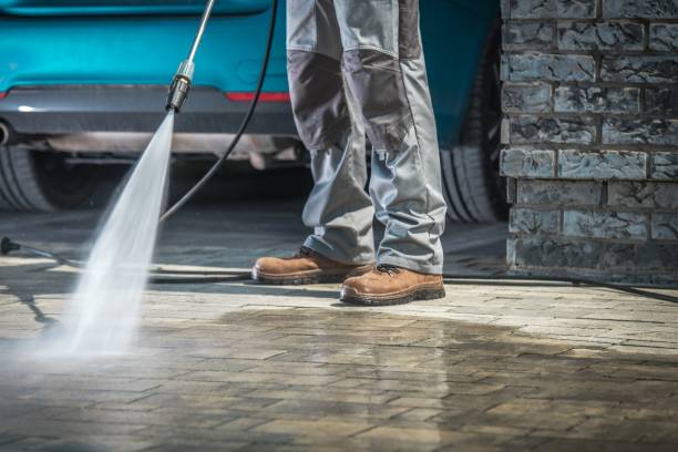 Best Sidewalk and Walkway Cleaning  in Perezville, TX